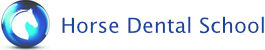 Horse Dental School
