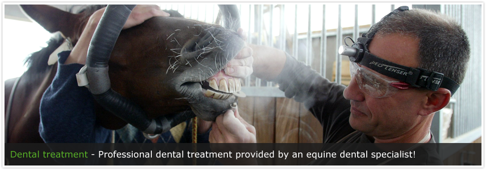 Dental treatment