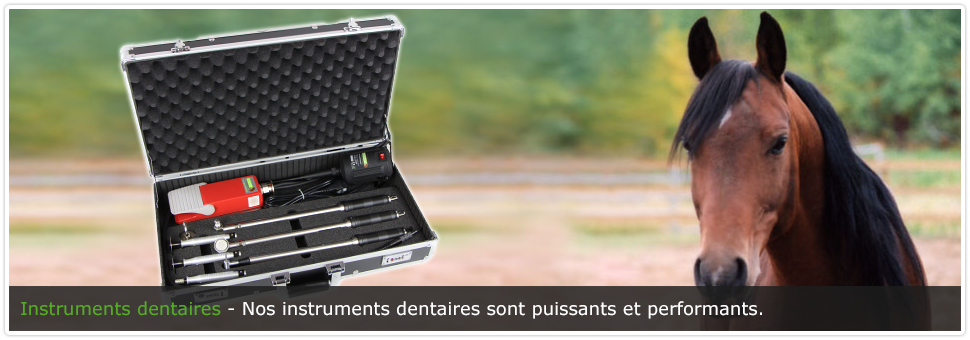 instruments_dentaires